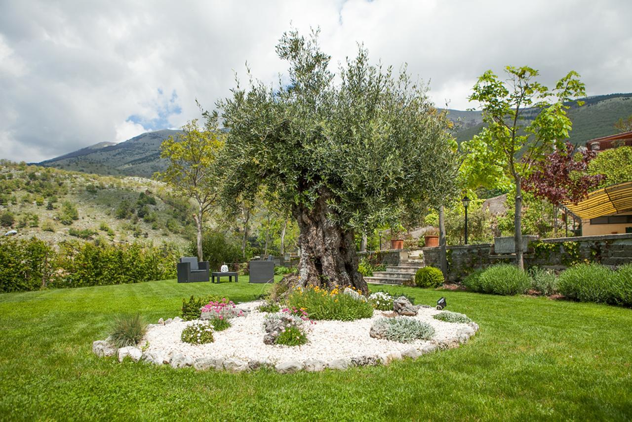B&B Al Colle Pescosolido Buitenkant foto